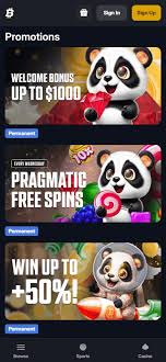 Best Crypto Exchanges for Casino Transactions