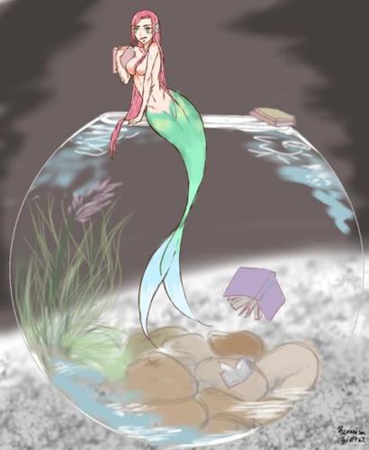 324 little mermaid